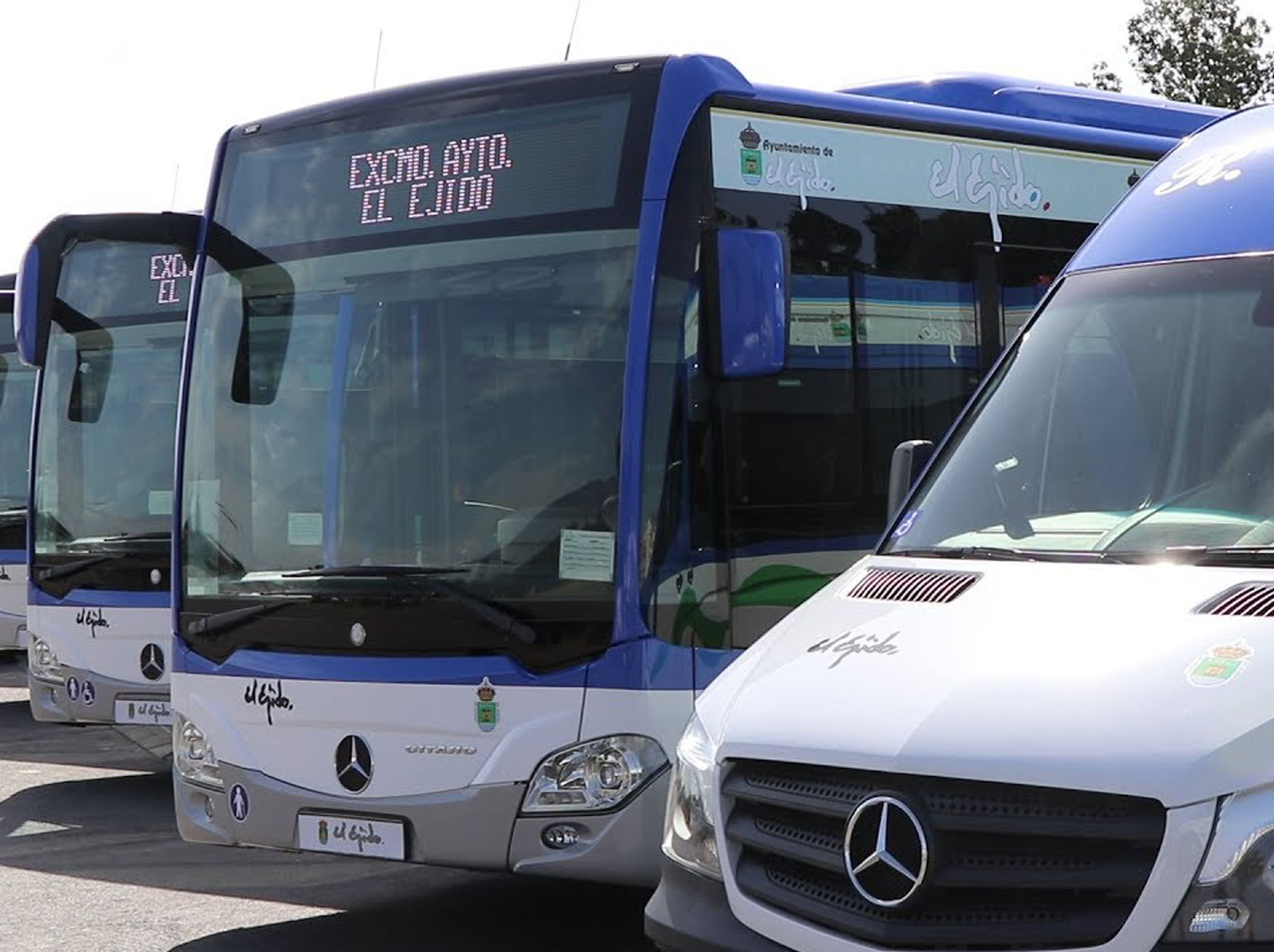 AUTOBUSES DEL SURESTE